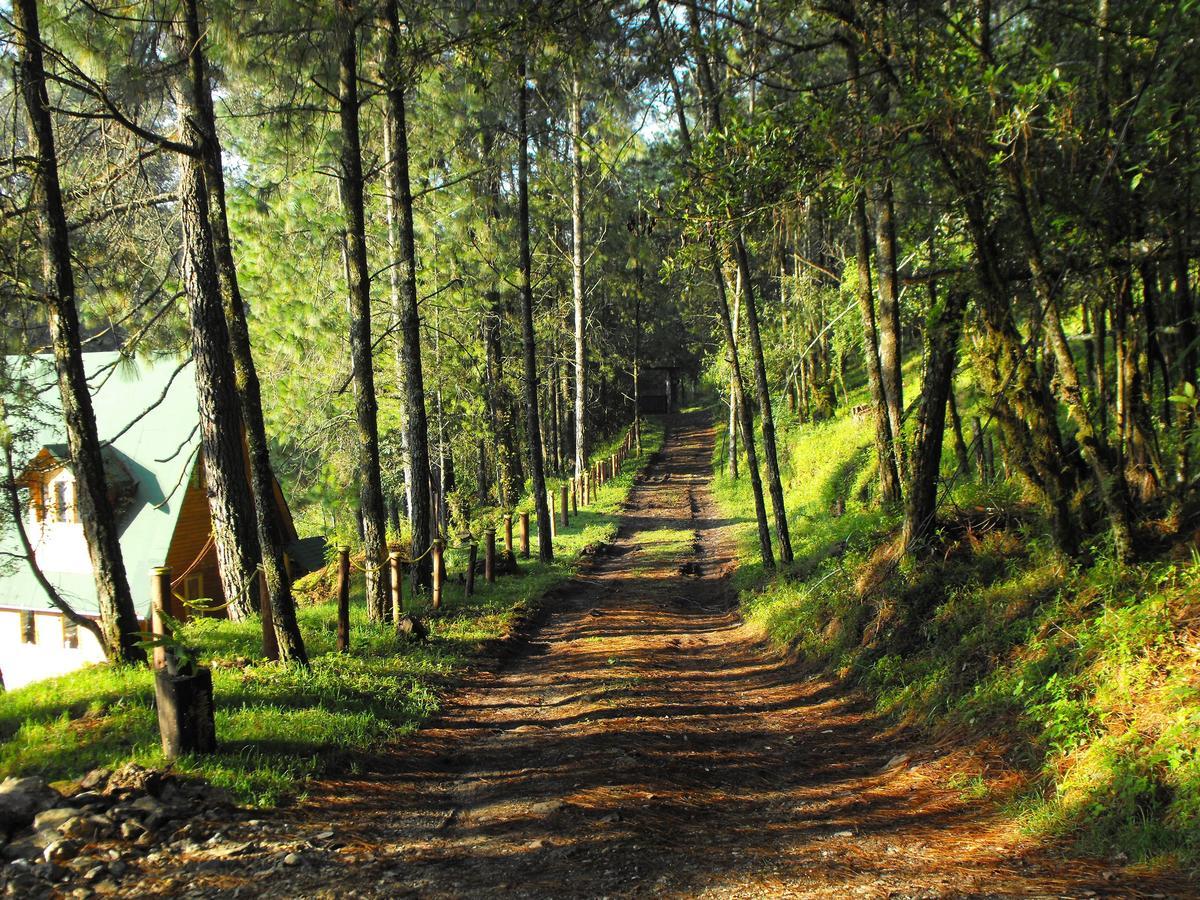 Cabanas Alpinas Lopez Fontes บาเญเดบราโว ภายนอก รูปภาพ