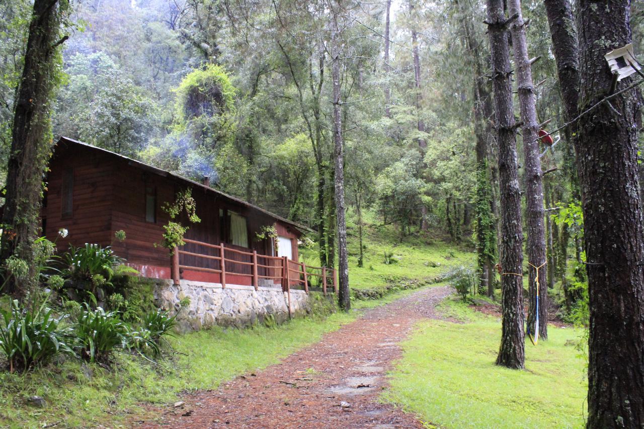 Cabanas Alpinas Lopez Fontes บาเญเดบราโว ภายนอก รูปภาพ