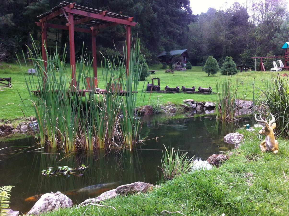 Cabanas Alpinas Lopez Fontes บาเญเดบราโว ภายนอก รูปภาพ