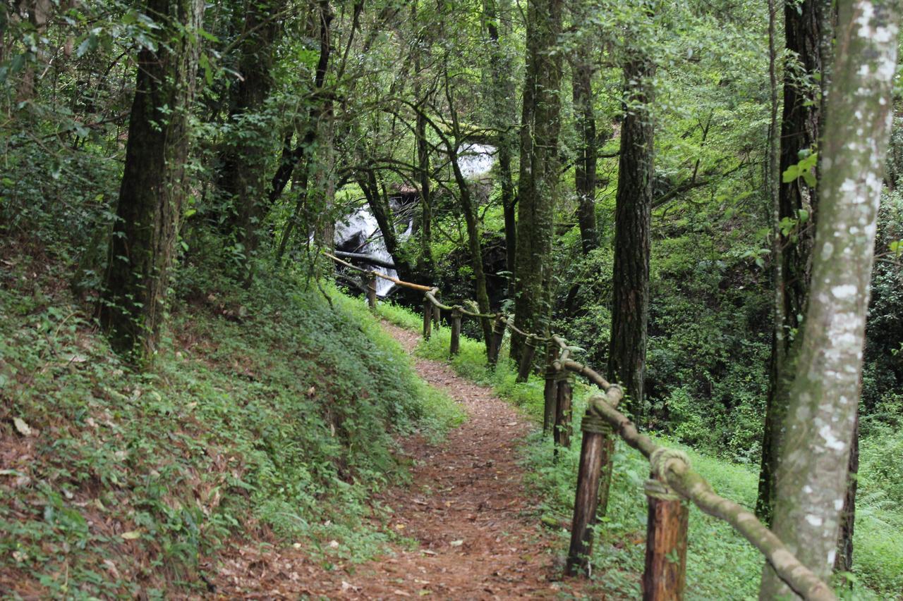 Cabanas Alpinas Lopez Fontes บาเญเดบราโว ภายนอก รูปภาพ