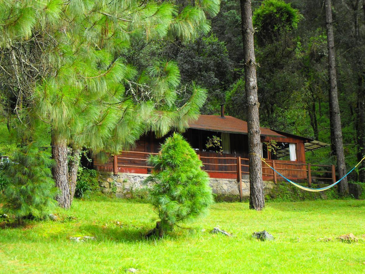 Cabanas Alpinas Lopez Fontes บาเญเดบราโว ภายนอก รูปภาพ